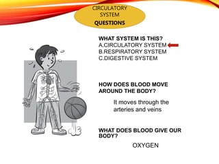 CIRCULATORY
SYSTEM
QUESTIONS
WHAT SYSTEM IS THIS?
A.CIRCULATORY SYSTEM
B.RESPIRATORY SYSTEM
C.DIGESTIVE SYSTEM
HOW DOES BLOOD MOVE
AROUND THE BODY?
WHAT DOES BLOOD GIVE OUR
BODY?
It moves through the
arteries and veins
OXYGEN
 
