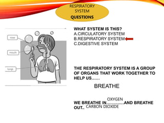 RESPIRATORY
SYSTEM
QUESTIONS
WHAT SYSTEM IS THIS?
A.CIRCULATORY SYSTEM
B.RESPIRATORY SYSTEM
C.DIGESTIVE SYSTEM
THE RESPIRATORY SYSTEM IS A GROUP
OF ORGANS THAT WORK TOGETHER TO
HELP US……
WE BREATHE IN……….…AND BREATHE
OUT..
BREATHE
OXYGEN
CARBON DIOXIDE
 