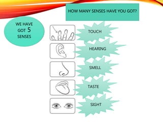HOW MANY SENSES HAVE YOU GOT?
WE HAVE
GOT 5
SENSES
TASTE
TOUCH
SMELL
HEARING
SIGHT
 