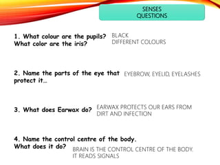 SENSES
QUESTIONS
1. What colour are the pupils?
What color are the iris?
2. Name the parts of the eye that
protect it…
3. What does Earwax do?
4. Name the control centre of the body.
What does it do?
BLACK
DIFFERENT COLOURS
BRAIN IS THE CONTROL CENTRE OF THE BODY.
IT READS SIGNALS
EARWAX PROTECTS OUR EARS FROM
DIRT AND INFECTION
EYEBROW, EYELID, EYELASHES
 