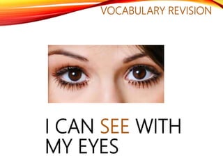 VOCABULARY REVISION
I CAN SEE WITH
MY EYES
 