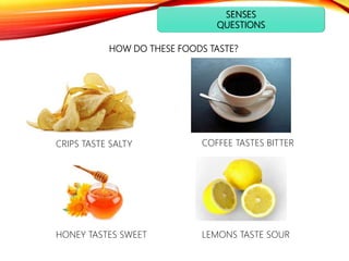 SENSES
QUESTIONS
HOW DO THESE FOODS TASTE?
CRIPS TASTE SALTY COFFEE TASTES BITTER
HONEY TASTES SWEET LEMONS TASTE SOUR
 