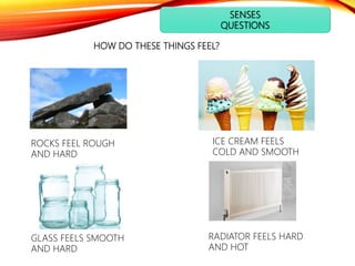 SENSES
QUESTIONS
ROCKS FEEL ROUGH
AND HARD
GLASS FEELS SMOOTH
AND HARD
ICE CREAM FEELS
COLD AND SMOOTH
HOW DO THESE THINGS FEEL?
RADIATOR FEELS HARD
AND HOT
 