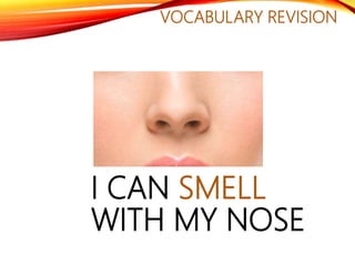 VOCABULARY REVISION
I CAN SMELL
WITH MY NOSE
 