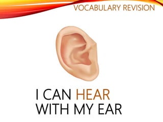 VOCABULARY REVISION
I CAN HEAR
WITH MY EAR
 