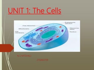 UNIT 1: The Cells
N.S MTSHALI
215060709
 