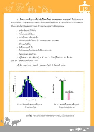 19
2. ลักษณะทางพันธุกรรมที่แปรผันไม่ต่อเนื่อง (discontinuous variation) คือ ลักษณะทาง
พันธุกรรมที่มีความแตกต่างกันอย่างชัดเจน มักถูกควบคุมด้วยยีนน้อยคู่ ทาให้ยีนแต่ละตัวสามารถแสดงออก
ได้เต็มที่ โดยสิ่งแวดล้อมมีผลต่อการแสดงลักษณะนั้นๆ น้อยมากหรือไม่มีเลย เช่น
- การมีลักยิ้มและไม่มีลักยิ้ม
- ห่อลิ้นได้และห่อลิ้นไม่ได้
- ตาชั้นเดียวและหนังตาสองชั้น
- ลักษณะแนวผมที่หน้าผาก คือ แนวผมตรงและแนวผมแหลม
- มีติ่งหูและไม่มีติ่งหู
- นิ้วเรียวยาวและนิ้วสั้น
- นิ้วชี้ยาวกว่าหัวนิ้วแม่เท้าและนิ้วชี้สั้นกว่าหัวแม่เท้า
- สันจมูกโด่งและไม่มีสันจมูก
- หมู่เลือดระบบ ABO คือ หมู่ A , B , AB , O หรือหมู่เลือดระบบ RH คือ RH+
และ RH- ถนัดขวาและถนัดซ้าย ฯลฯ
เมื่อนากราฟมาเขียนกราฟจะได้กราฟแท่งแยกกันเด่นชัด ดังภาพที่ 1-3 (ข)
(ก) กราฟแสดงลักษณะทางพันธุกรรม (ข) กราฟแสดงลักษณะทางพันธุกรรม
ที่แปรผันต่อเนื่อง ที่มีการแปรผันไม่ต่อเนื่อง
ภาพที่ 1-3 กราฟแสดงลักษณะทางพันธุกรรมที่มีการแปรผันต่อเนื่องและไม่ต่อเนื่อง
 