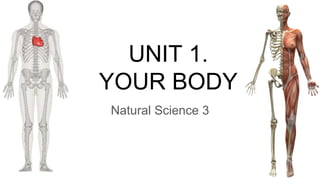 UNIT 1.
YOUR BODY
Natural Science 3
 