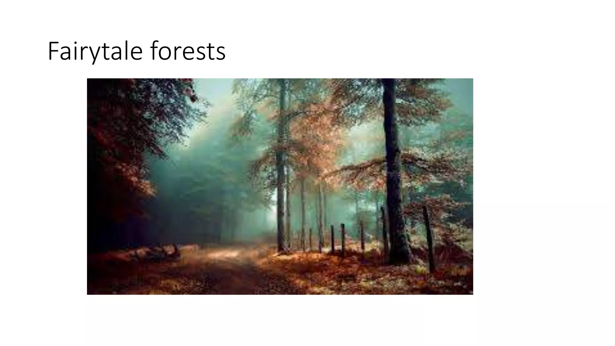 Fairytale forests
 