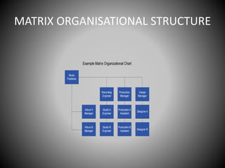 MATRIX ORGANISATIONAL STRUCTURE
 