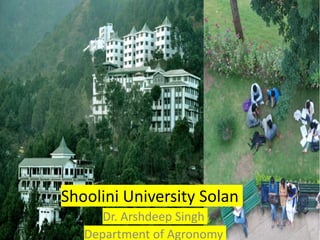 Shoolini University Solan
Dr. Arshdeep Singh
Department of Agronomy
 