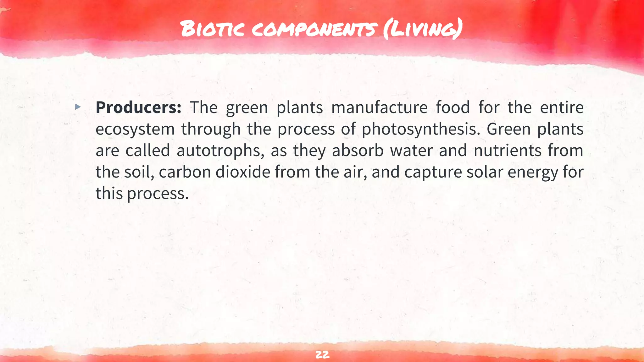 Biotic components (Living)
▸ Producers: The green plants manufacture food for the entire
ecosystem through the process of photosynthesis. Green plants
are called autotrophs, as they absorb water and nutrients from
the soil, carbon dioxide from the air, and capture solar energy for
this process.
22
 