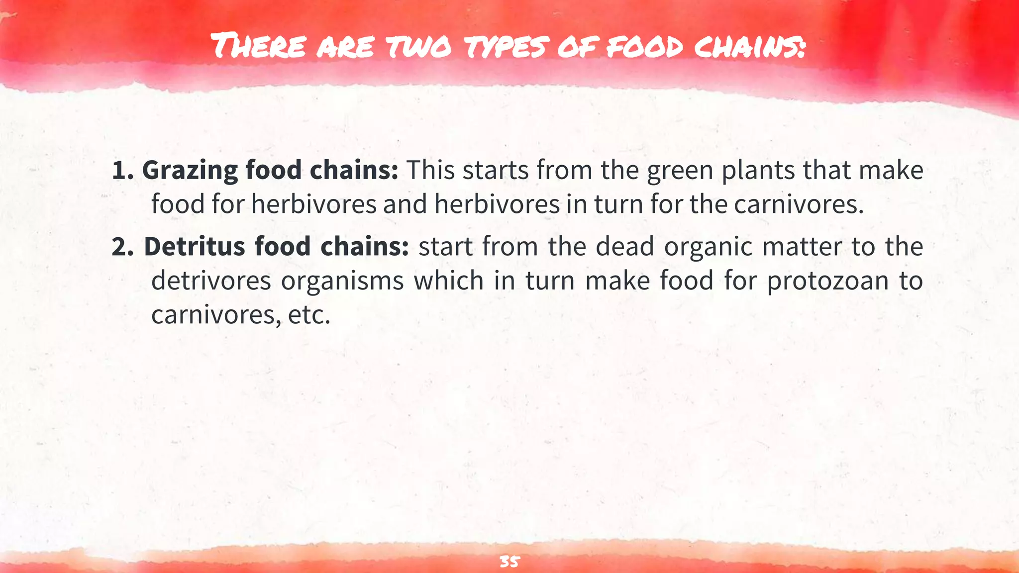 There are two types of food chains:
1. Grazing food chains: This starts from the green plants that make
food for herbivores and herbivores in turn for the carnivores.
2. Detritus food chains: start from the dead organic matter to the
detrivores organisms which in turn make food for protozoan to
carnivores, etc.
35
 