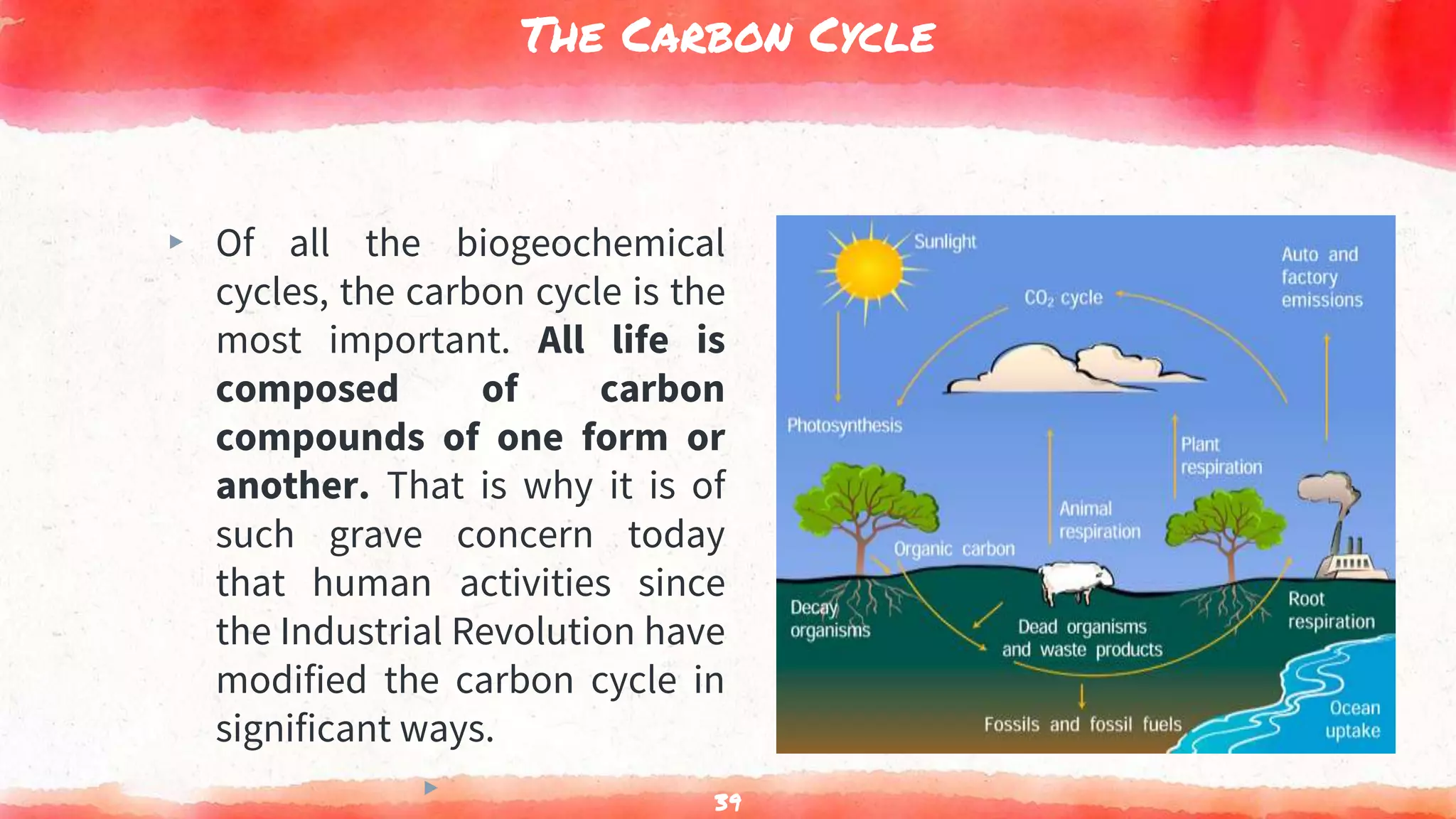 The Carbon Cycle
▸ Of all the biogeochemical
cycles, the carbon cycle is the
most important. All life is
composed of carbon
compounds of one form or
another. That is why it is of
such grave concern today
that human activities since
the Industrial Revolution have
modified the carbon cycle in
significant ways.
▸ 39
 