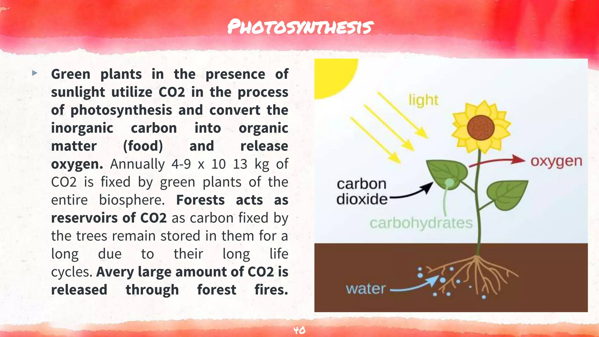 Photosynthesis
▸ Green plants in the presence of
sunlight utilize CO2 in the process
of photosynthesis and convert the
inorganic carbon into organic
matter (food) and release
oxygen. Annually 4-9 x 10 13 kg of
CO2 is fixed by green plants of the
entire biosphere. Forests acts as
reservoirs of CO2 as carbon fixed by
the trees remain stored in them for a
long due to their long life
cycles. Avery large amount of CO2 is
released through forest fires.
40
 