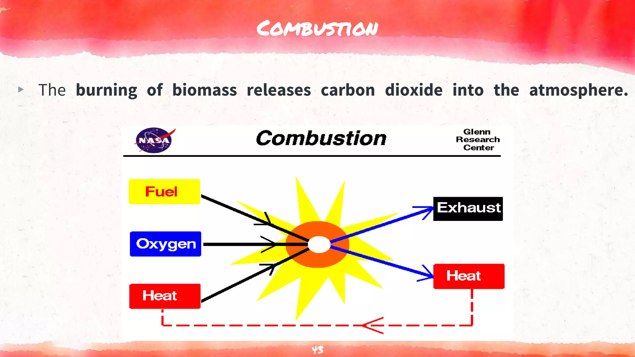 Combustion
▸ The burning of biomass releases carbon dioxide into the atmosphere.
43
 
