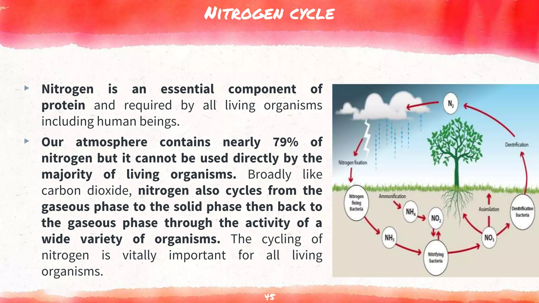 Nitrogen cycle
▸ Nitrogen is an essential component of
protein and required by all living organisms
including human beings.
▸ Our atmosphere contains nearly 79% of
nitrogen but it cannot be used directly by the
majority of living organisms. Broadly like
carbon dioxide, nitrogen also cycles from the
gaseous phase to the solid phase then back to
the gaseous phase through the activity of a
wide variety of organisms. The cycling of
nitrogen is vitally important for all living
organisms.
45
 