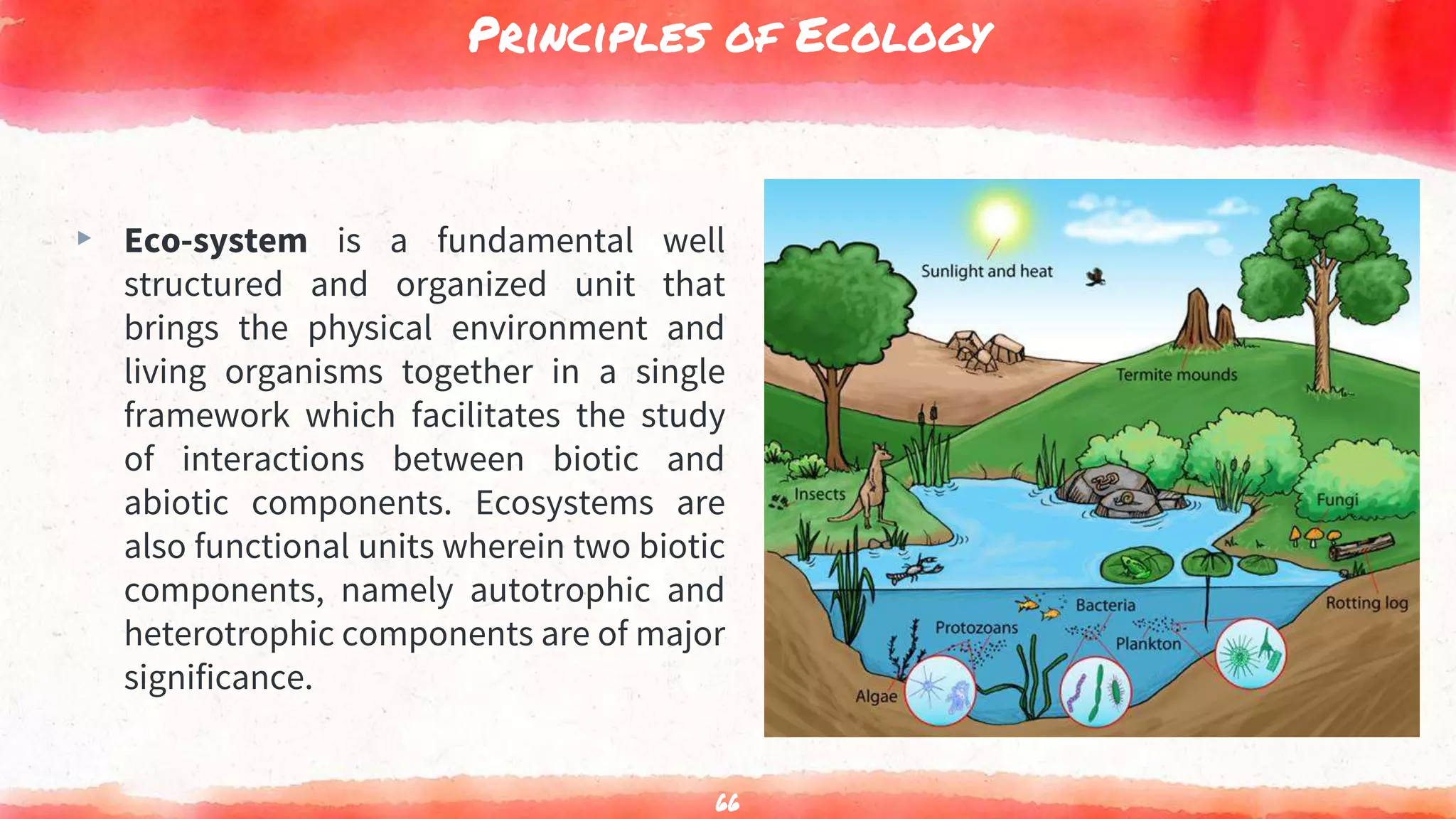 Principles of Ecology
▸ Eco-system is a fundamental well
structured and organized unit that
brings the physical environment and
living organisms together in a single
framework which facilitates the study
of interactions between biotic and
abiotic components. Ecosystems are
also functional units wherein two biotic
components, namely autotrophic and
heterotrophic components are of major
significance.
66
 