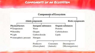 Components of an Ecosystem
20
 
