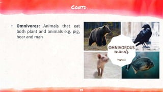 Contd…
▸ Omnivores: Animals that eat
both plant and animals e.g. pig,
bear and man
33
 