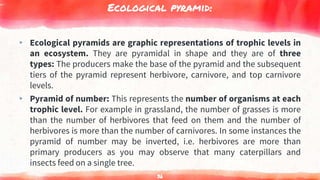 Ecological pyramid:
▸ Ecological pyramids are graphic representations of trophic levels in
an ecosystem. They are pyramidal in shape and they are of three
types: The producers make the base of the pyramid and the subsequent
tiers of the pyramid represent herbivore, carnivore, and top carnivore
levels.
▸ Pyramid of number: This represents the number of organisms at each
trophic level. For example in grassland, the number of grasses is more
than the number of herbivores that feed on them and the number of
herbivores is more than the number of carnivores. In some instances the
pyramid of number may be inverted, i.e. herbivores are more than
primary producers as you may observe that many caterpillars and
insects feed on a single tree.
36
 