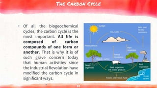 The Carbon Cycle
▸ Of all the biogeochemical
cycles, the carbon cycle is the
most important. All life is
composed of carbon
compounds of one form or
another. That is why it is of
such grave concern today
that human activities since
the Industrial Revolution have
modified the carbon cycle in
significant ways.
▸ 39
 