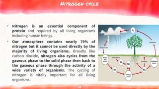 Nitrogen cycle
▸ Nitrogen is an essential component of
protein and required by all living organisms
including human beings.
▸ Our atmosphere contains nearly 79% of
nitrogen but it cannot be used directly by the
majority of living organisms. Broadly like
carbon dioxide, nitrogen also cycles from the
gaseous phase to the solid phase then back to
the gaseous phase through the activity of a
wide variety of organisms. The cycling of
nitrogen is vitally important for all living
organisms.
45
 