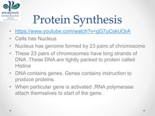 Protein Synthesis
• https://www.youtube.com/watch?v=gG7uCskUOrA
• Cells has Nucleus
• Nucleus has genome formed by 23 pairs of chromosome
• These 23 pairs of chromosomes have long strands of
DNA .These DNA are tightly packed to protein called
Histine
• DNA contains genes. Genes contains instruction to
produce proteins.
• When particular gene is activated ,RNA polymerase
attach themselves to start of the gene.
 