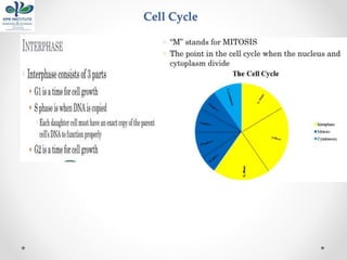 Cell Cycle
 