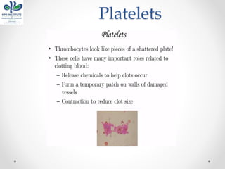 Platelets
 