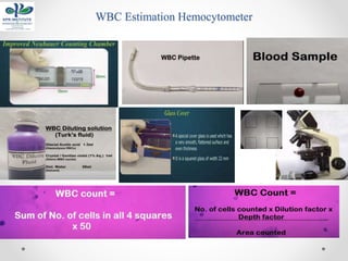 WBC Estimation Hemocytometer
 