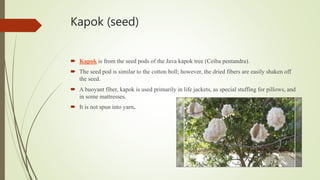 Wool Tree Seed classification of textile fibre | PPTX