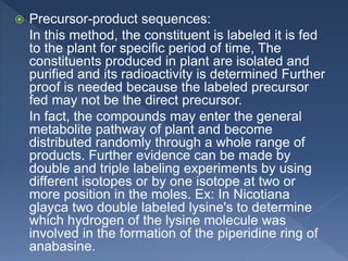 Metabolic Pathways | PPTX
