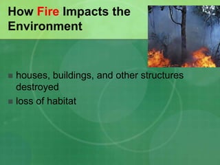 How Fire Impacts the
Environment
 houses, buildings, and other structures
destroyed
 loss of habitat
 