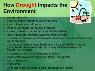 How Drought Impacts the
Environment
 young trees die
 dried up lakes and other water sources
 loss of livestock and crops
 People use more fuel during droughts.
 losses or destruction of fish and wildlife habitat
 lack of food and drinking water for wild animals
 increase in disease in wild animals, because of reduced food and
water supplies
 migration of wild animals, leading to a loss of wildlife in some
(drought-stricken) areas and too many wildlife in areas not
affected by drought
 increased stress on endangered species
 lower water levels in reservoirs, lakes, and ponds
 loss of wetlands
 more fires
 wind and water erosion of soils, reduced soil quality
Information from http://drought.unl.edu/kids/impacts/affects.htm
 