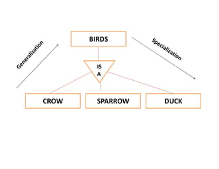 BIRDS
CROW SPARROW DUCK
IS
A
 