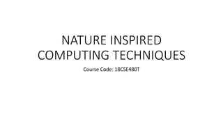 NATURE INSPIRED
COMPUTING TECHNIQUES
Course Code: 18CSE480T
 