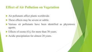 Effect of Air Pollution on Vegetation
 Air pollutants affect plants worldwide.
 These effects may be severe or subtle.
 Various sir pollutants have been identified as phytotoxic
agents.
 Effects of ozone (O3) for more than 30 years.
 Acidic precipitation for almost 20 years.
 