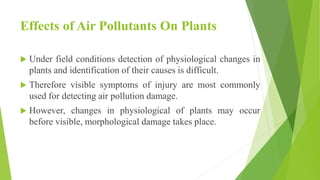 Effects of Air Pollutants On Plants
 Under field conditions detection of physiological changes in
plants and identification of their causes is difficult.
 Therefore visible symptoms of injury are most commonly
used for detecting air pollution damage.
 However, changes in physiological of plants may occur
before visible, morphological damage takes place.
 