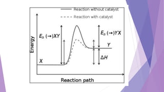 UNIT1.2 bioenergetic in introduction of biochemistry | PPTX