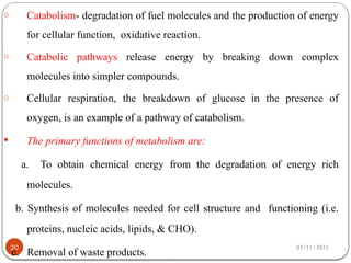 02/11/2025
20
o Catabolism- degradation of fuel molecules and the production of energy
for cellular function, oxidative reaction.
o Catabolic pathways release energy by breaking down complex
molecules into simpler compounds.
o Cellular respiration, the breakdown of glucose in the presence of
oxygen, is an example of a pathway of catabolism.
 The primary functions of metabolism are:
a. To obtain chemical energy from the degradation of energy rich
molecules.
b. Synthesis of molecules needed for cell structure and functioning (i.e.
proteins, nucleic acids, lipids, & CHO).
c. Removal of waste products.
 