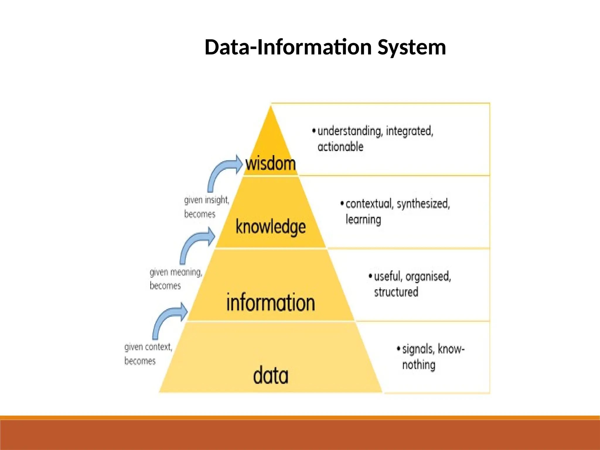Data-Information System
 