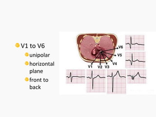 Medical electronics- Bio signal, Electrode, ECG, EEG, PCG | PPT