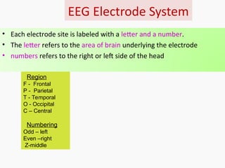 Medical electronics- Bio signal, Electrode, ECG, EEG, PCG | PPT
