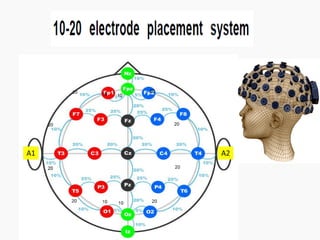 Medical electronics- Bio signal, Electrode, ECG, EEG, PCG | PPT