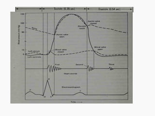 Medical electronics- Bio signal, Electrode, ECG, EEG, PCG | PPT