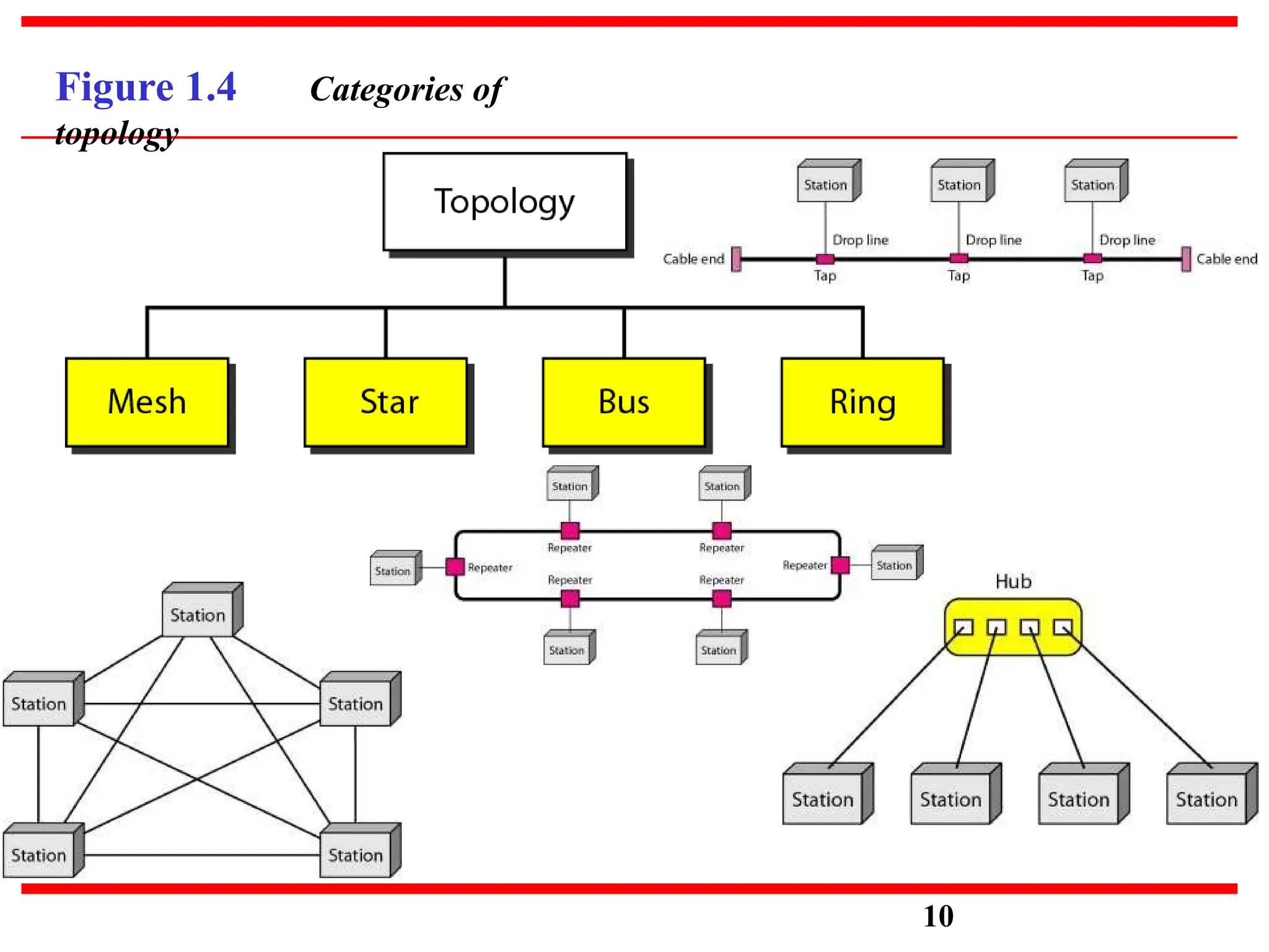 Figure 1.4 Categories of
topology
10
 