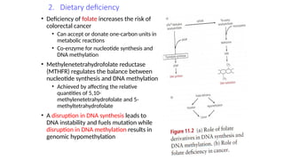 Cancer Biology basics and different forms of cancer | PPTX