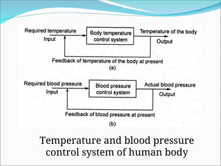 Temperature and blood pressure
control system of human body
 