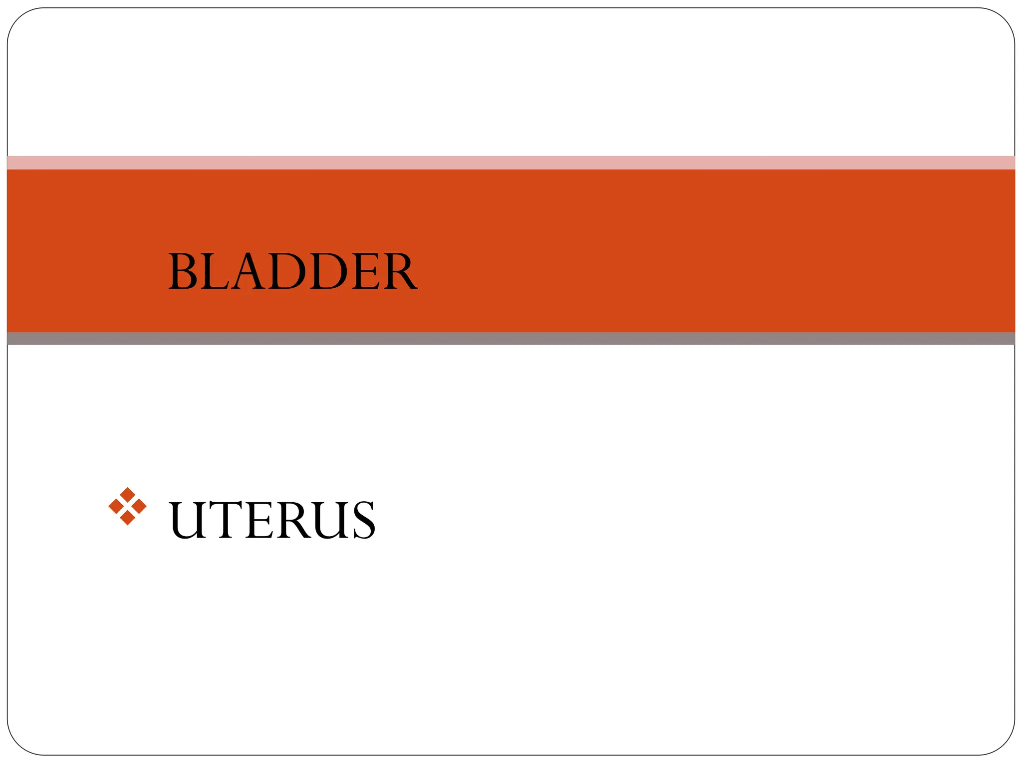 MORBID ANATOMICAL CHANGES
 BLADDER
 UTERUS
 